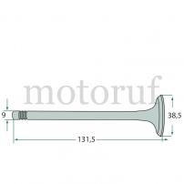 Classic Parts Auslassventil