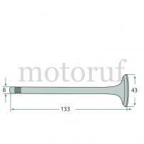 Classic Parts Einlassventil