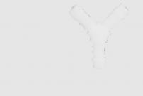 Garten Schlauchverbinder Y-Form 6mm