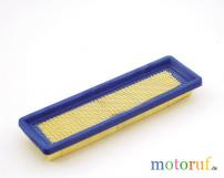 Filter Luft p.f.Tecumseh