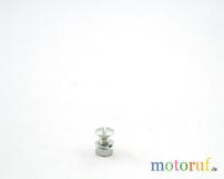 Spezialschraube pass.f.BRILL