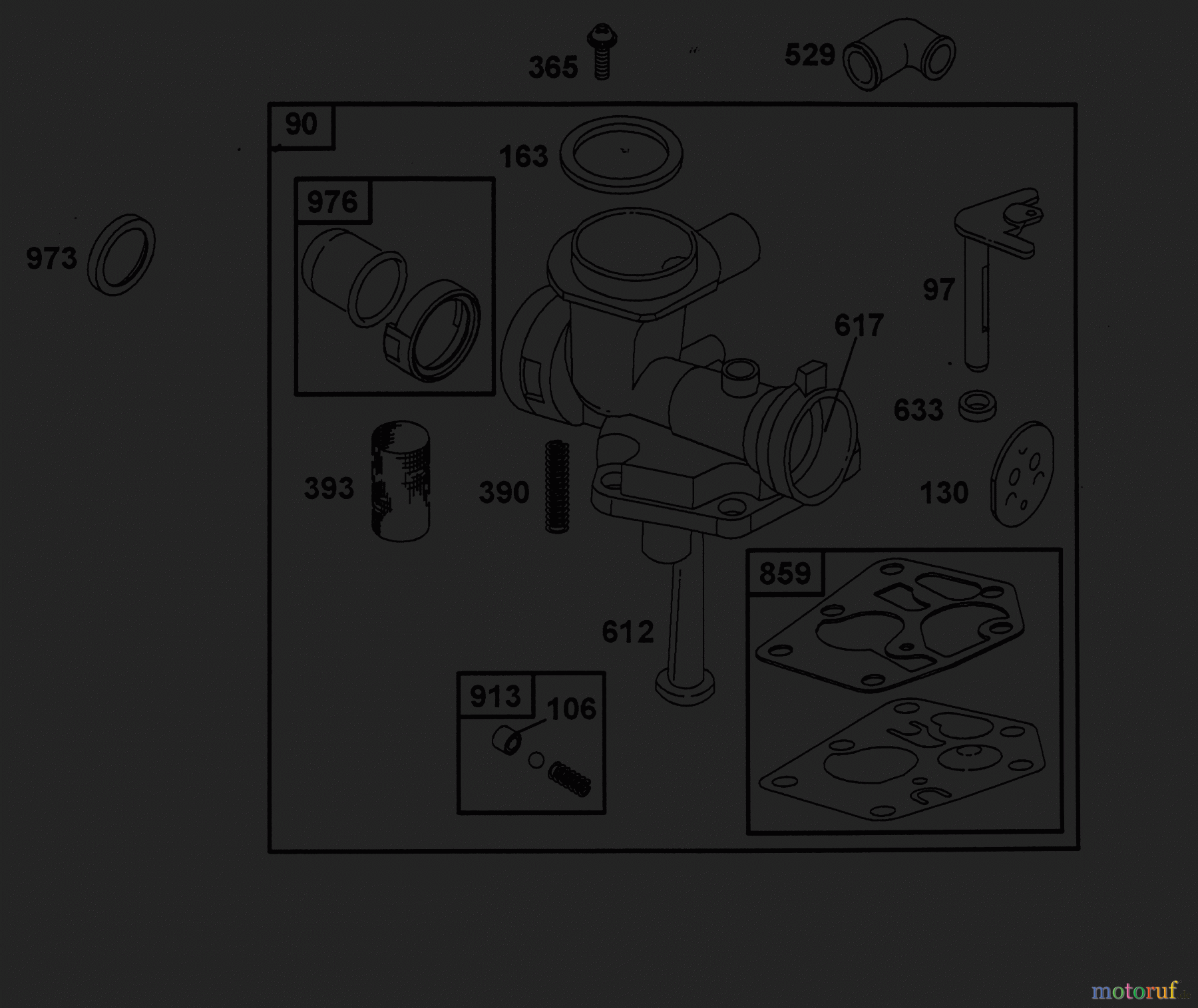  Wolf-Garten Benzinmotoren Briggs&Stratton Quattro 40 S 2056060  (2002) Vergaser