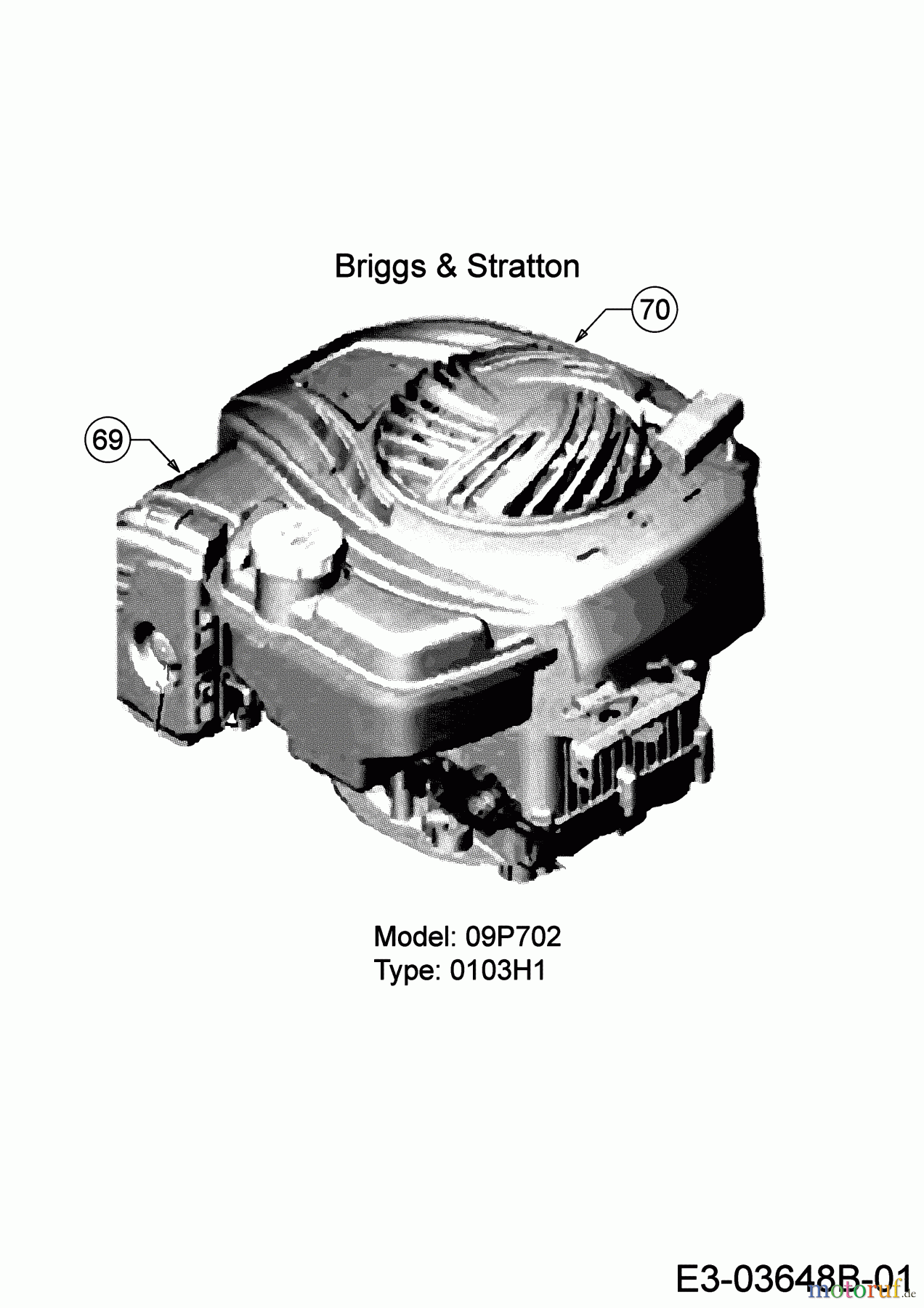  Wolf-Garten Petrol mower OMEGA 46 BP 11A-YA5E650 (2019) Engine Briggs & Stratton
