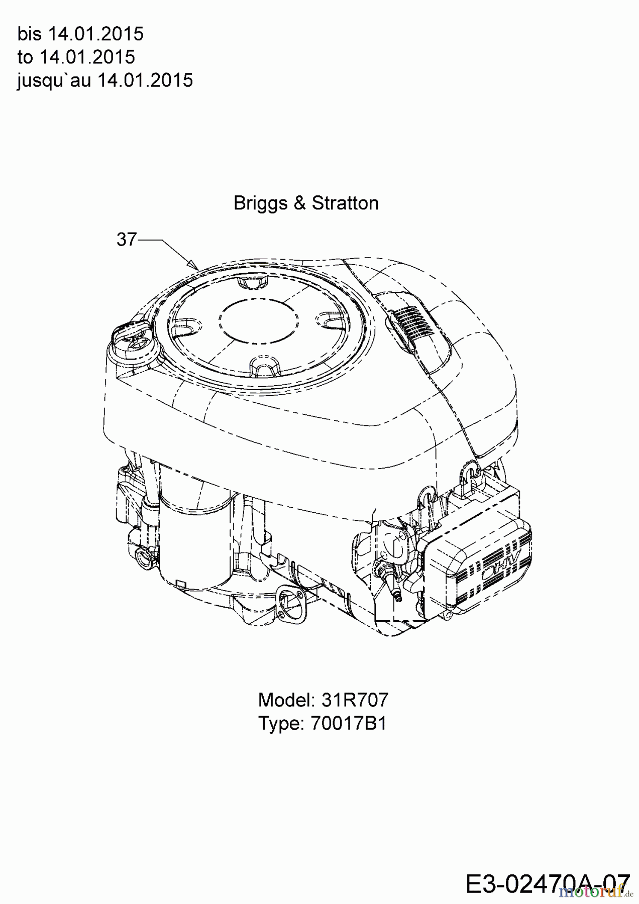  Black Edition Rasentraktoren 175-96 13HN777F615  (2015) Motor Briggs & Stratton bis 14.01.2015