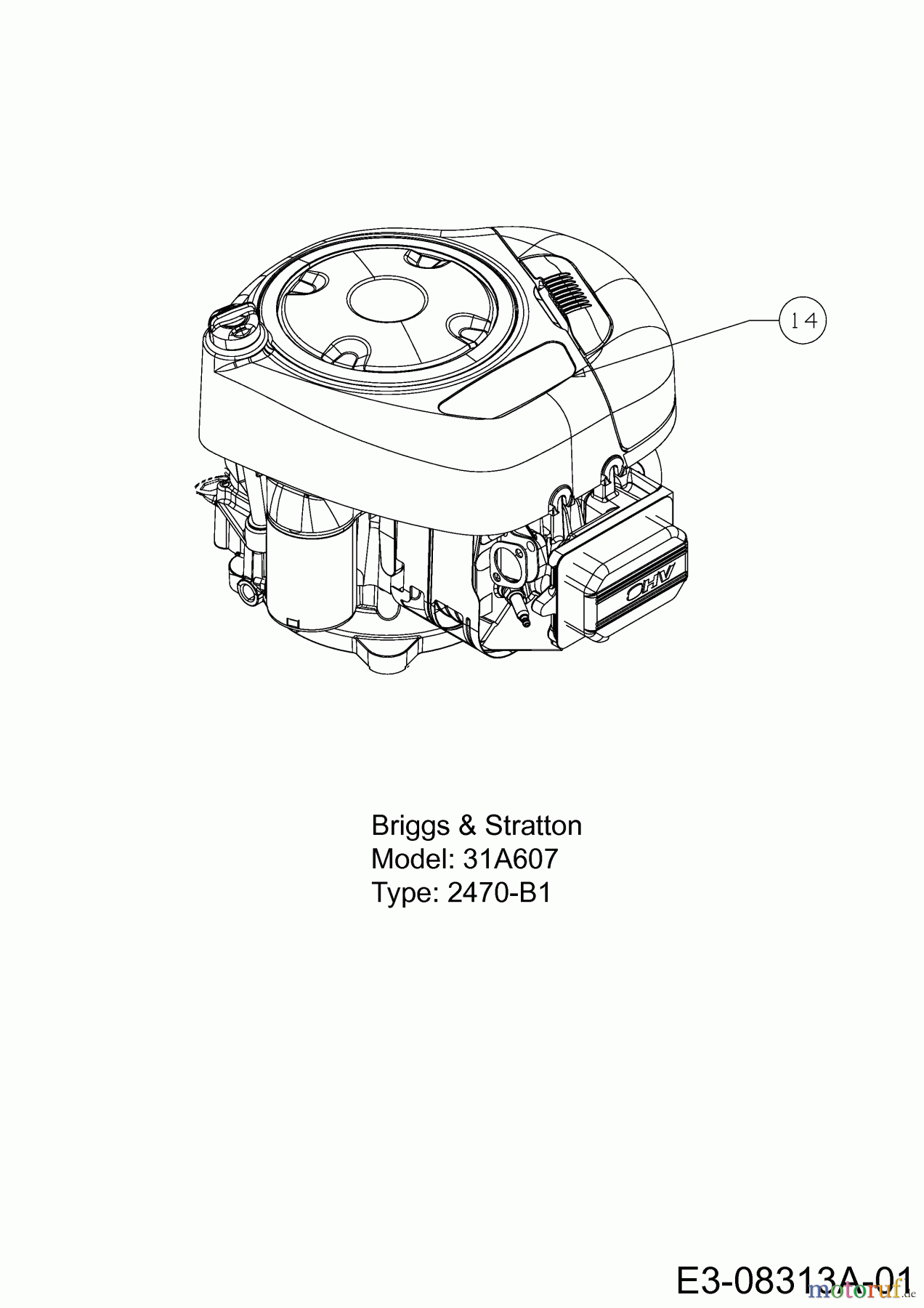  Staub Rasentraktoren SAEL 108/15,5 H 13BM79KG632  (2013) Motor Briggs & Stratton