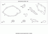 Toro 20066 - 22" Recycler Lawn Mower, 2008 (280000001-280999999) Ersatzteile ENGINE GASKET SET BRIGGS AND STRATTON 126T02-0220-B1